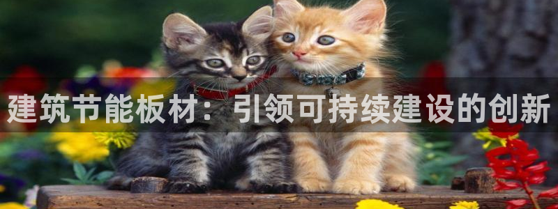 e尊国际官网：建筑节能板材：引领可持续建设的创新