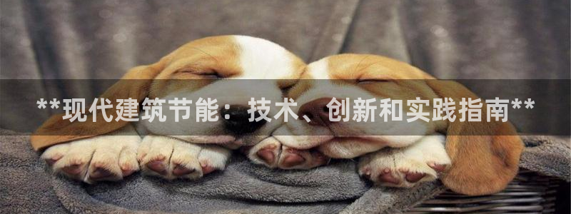 e尊国际娱乐官网地址：**现代建筑节能：技术、创新和实践指南**