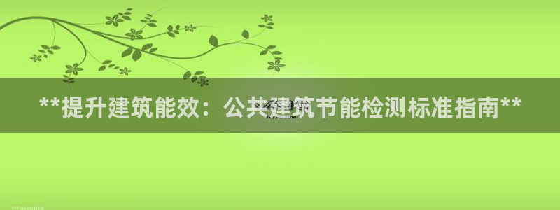 e尊国际7779：**提升建筑能效：公共建筑节能检测标准指南**