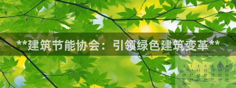 e尊国际官网·网址：**建筑节能协会：引领绿色建筑变革**