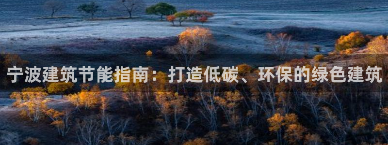e尊国际客户端下载：宁波建筑节能指南：打造低碳、环保的绿色建筑