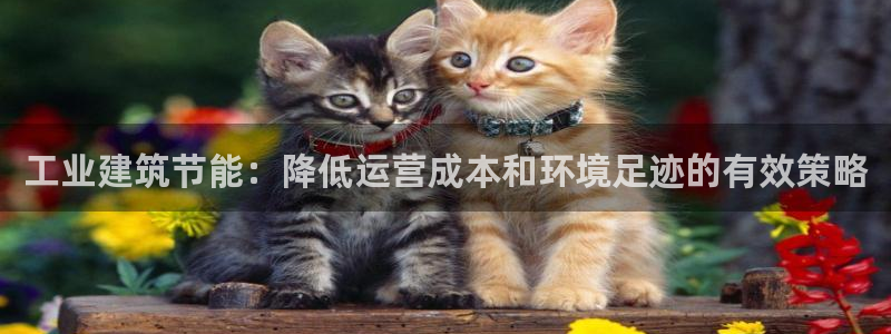 e尊国际网址：工业建筑节能：降低运营成本和环境足迹的有效策略