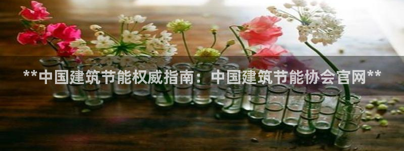 e尊国际可靠吗：**中国建筑节能权威指南：中国建筑节能协会官网**