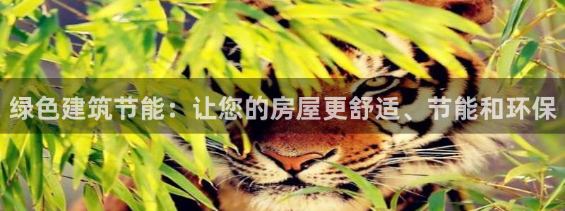 e尊平台：绿色建筑节能：让您的房屋更舒适、节能和环保