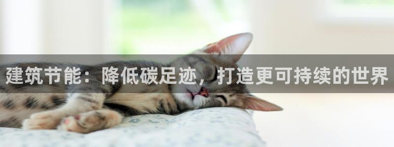 E尊国际：建筑节能：降低碳足迹，打造更可持续的世界