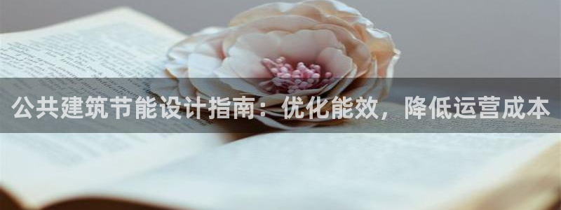 谁知道e尊国际的网址：公共建筑节能设计指南：优化能效，降低运营成本