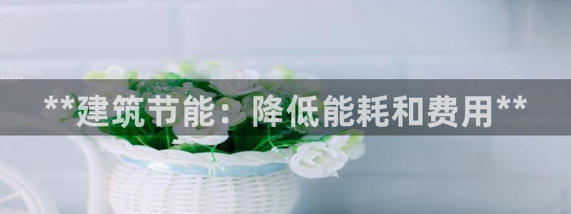 e尊国际客服：**建筑节能：降低能耗和费用**