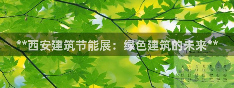 E尊国际网站：**西安建筑节能展：绿色建筑的未来**