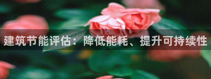 e尊体育：建筑节能评估：降低能耗、提升可持续性