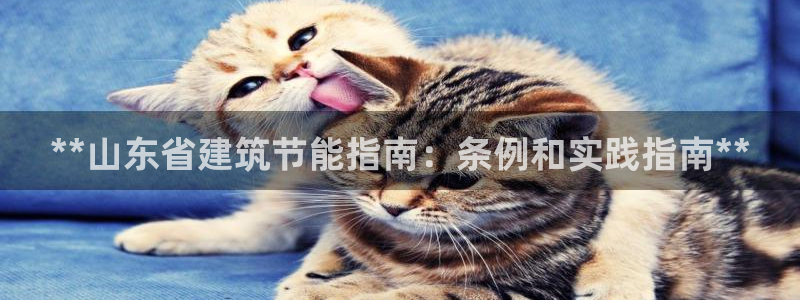 e尊国际官方网站：**山东省建筑节能指南：条例和实践指南**