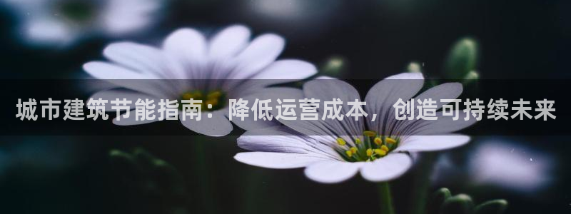 E尊国际：城市建筑节能指南：降低运营成本，创造可持续未来