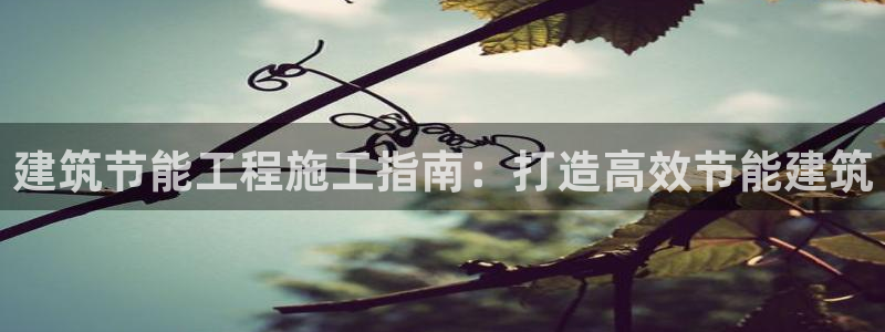 E尊国际网站：建筑节能工程施工指南：打造高效节能建筑