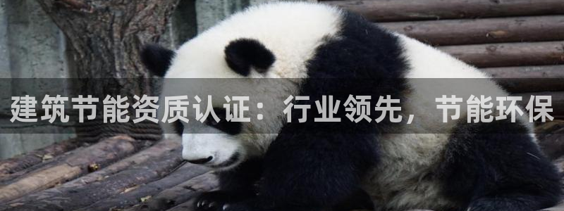 e尊国际是个黑网：建筑节能资质认证：行业领先，节能环保