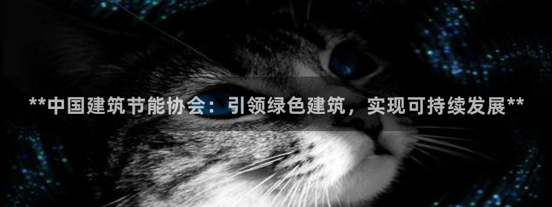 e尊国际娱乐官网地址：**中国建筑节能协会：引领绿色建筑，实现可持续发展**