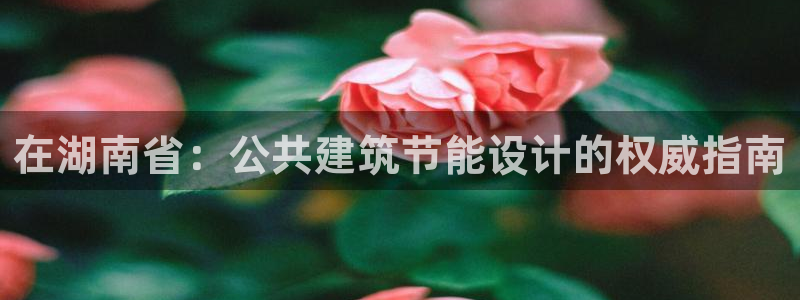 e尊国际官网app：在湖南省：公共建筑节能设计的权威指南