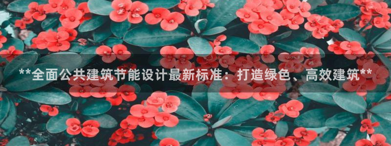E尊国际网站：**全面公共建筑节能设计最新标准：打造绿色、高效建筑**