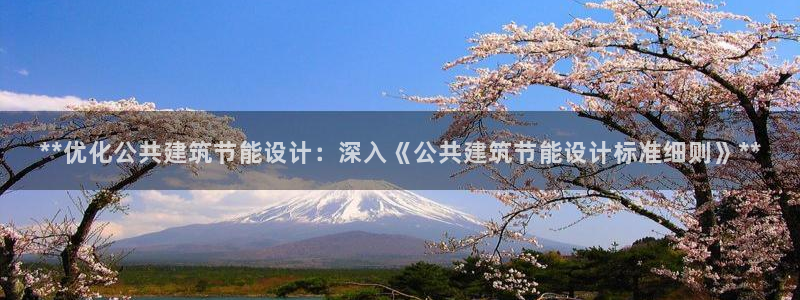 e尊国际娱乐官网下载：**优化公共建筑节能设计：深入《公共建筑节能设计标准细则》**