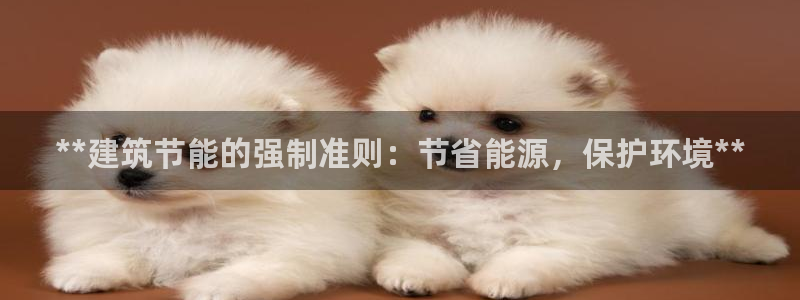 e尊国际官网：**建筑节能的强制准则：节省能源，保护环境**