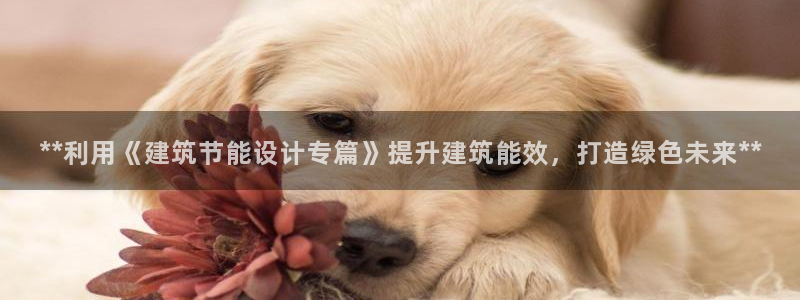 尊亿游戏国际官网：**利用《建筑节能设计专篇》提升建筑能效，打造绿色未来**
