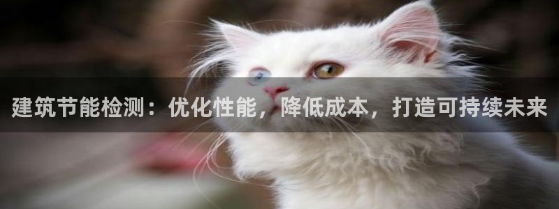 e尊国际-可可计划：建筑节能检测：优化性能，降低成本，打造可持续未来