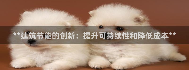 e尊国际官方网站：**建筑节能的创新：提升可持续性和降低成本**