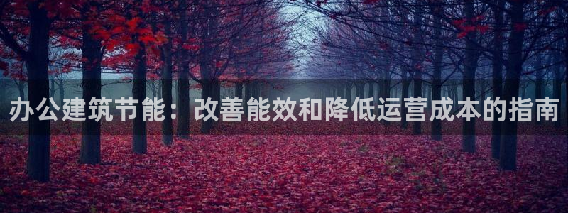 e尊平台：办公建筑节能：改善能效和降低运营成本的指南