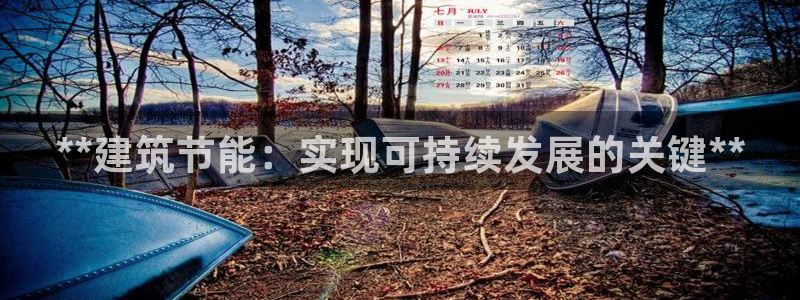 e尊国际-可可计划：**建筑节能：实现可持续发展的关键**