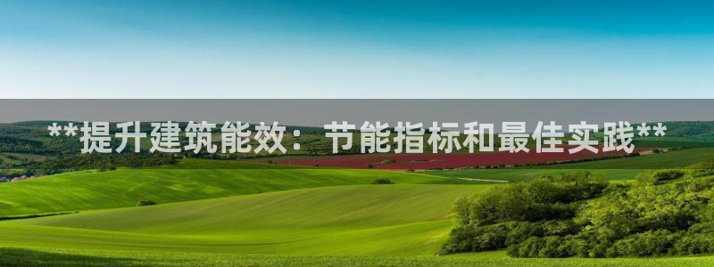 e尊电竞：**提升建筑能效：节能指标和最佳实践**