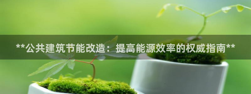 e尊国际是个黑网：**公共建筑节能改造：提高能源效率的权威指南**
