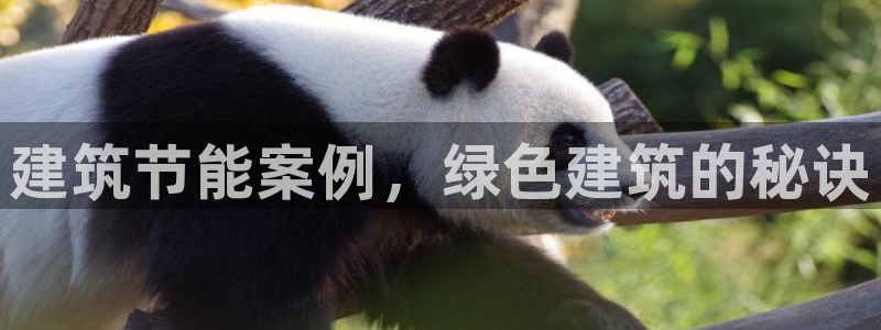 e尊国际app：建筑节能案例，绿色建筑的秘诀