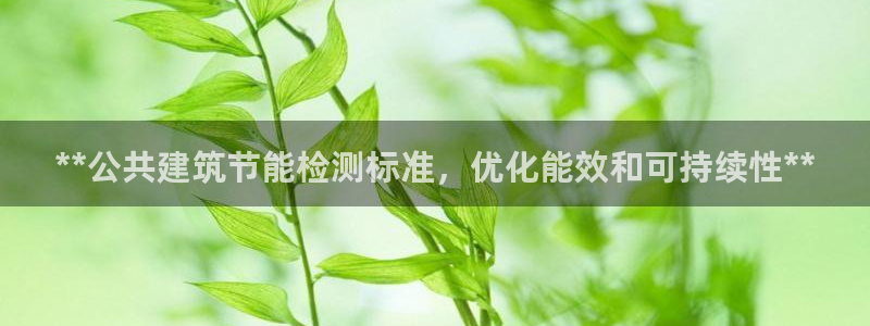 e尊国际平台：**公共建筑节能检测标准，优化能效和可持续性**