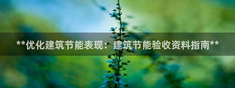e尊平台：**优化建筑节能表现：建筑节能验收资料指南**