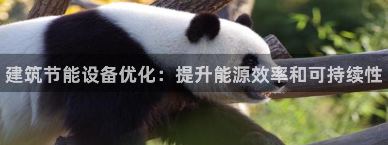 e尊国际的手机登录网站：建筑节能设备优化：提升能源效率和可持续性
