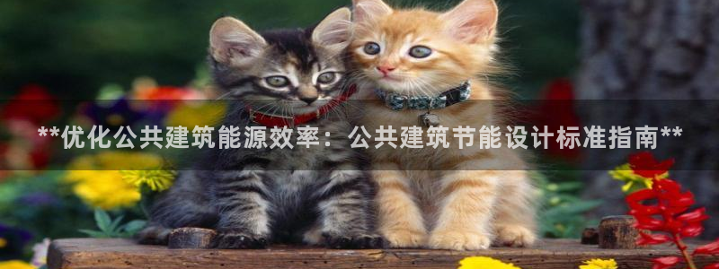 e尊国际是干什么的：**优化公共建筑能源效率：公共建筑节能设计标准指南**