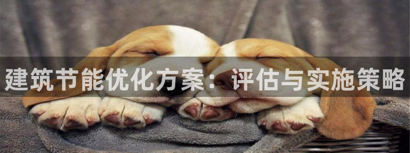 e尊国际官方网站：建筑节能优化方案：评估与实施策略
