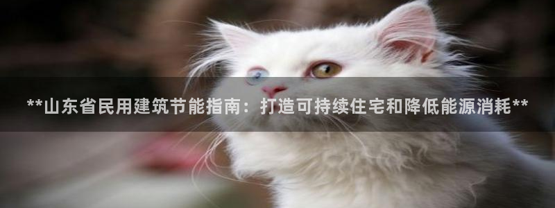 e尊国际客户端：**山东省民用建筑节能指南：打造可持续住宅和降低能源消耗**