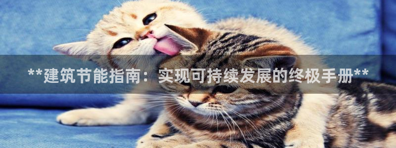 E尊国际：**建筑节能指南：实现可持续发展的终极手册**