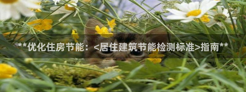 e尊国际地址