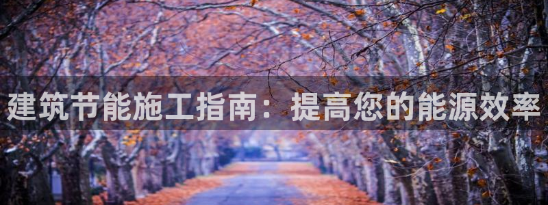 e尊国际是干什么的：建筑节能施工指南：提高您的能源效率