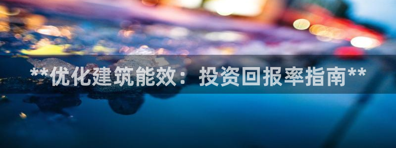 e尊国际是干什么的：**优化建筑能效：投资回报率指南**