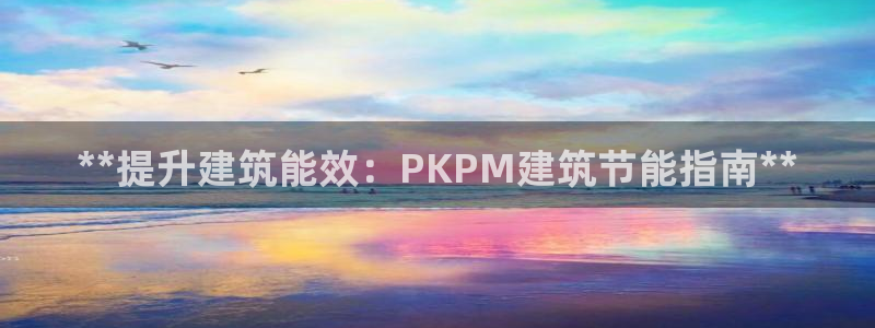 e尊国际官网app：**提升建筑能效：PKPM建筑节能指南**