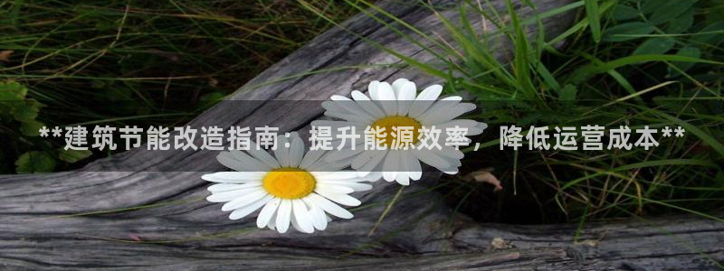e尊体育：**建筑节能改造指南：提升能源效率，降低运营成本**