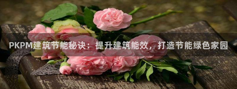 尊亿游戏国际官网：PKPM建筑节能秘诀：提升建筑能效，打造节能绿色家园