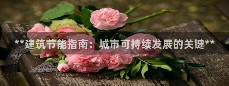 e尊体育：**建筑节能指南：城市可持续发展的关键**