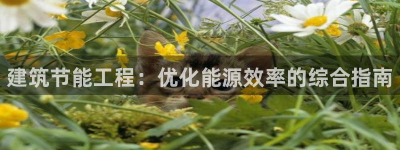 e尊国际官网app：建筑节能工程：优化能源效率的综合指南