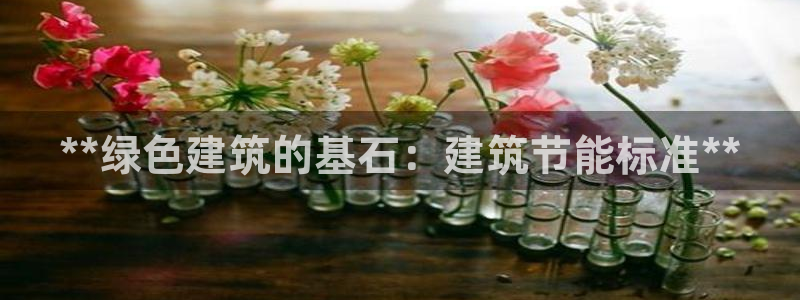 e尊国际是干什么的：**绿色建筑的基石：建筑节能标准**