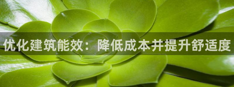e尊国际地址：优化建筑能效：降低成本并提升舒适度