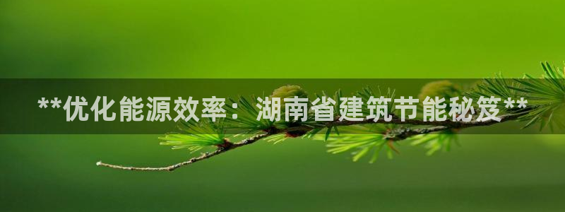 e尊平台：**优化能源效率：湖南省建筑节能秘笈**