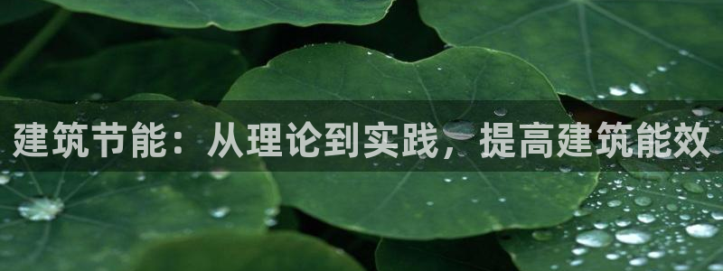 e尊国际官网·网址：建筑节能：从理论到实践，提高建筑能效