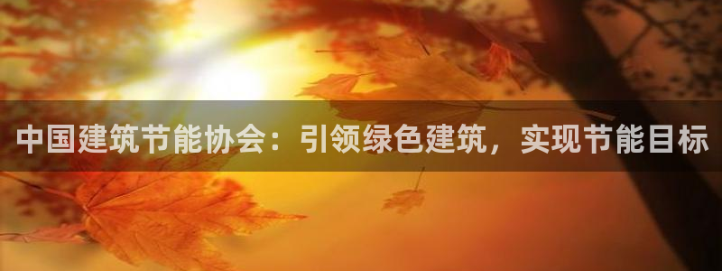e尊国际官方网站：中国建筑节能协会：引领绿色建筑，实现节能目标